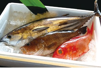 特選鮮魚BOX